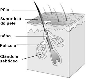 pele